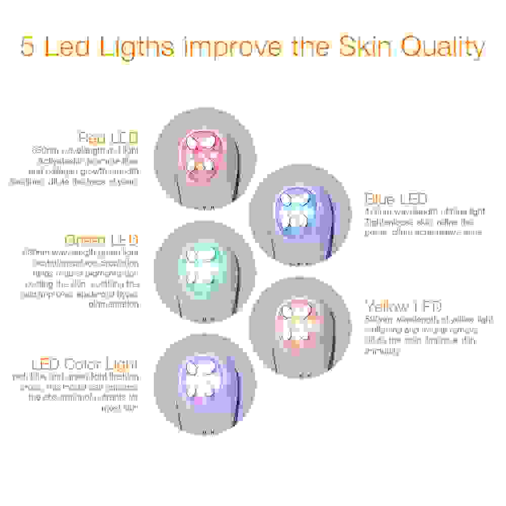 electroporation skin
electroporation device skin
electroporation for skin
