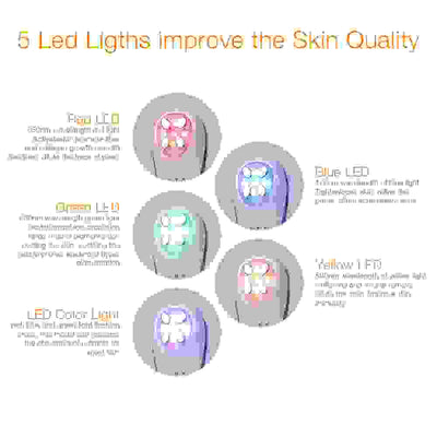 electroporation skin
electroporation device skin
electroporation for skin
